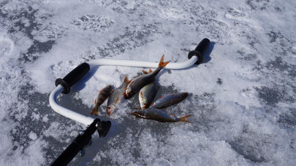 Что ждет рыб в апреле 2024. Лед на озере. Рыба на льду фото. Ловля рыбы из под льда самоделки. Аппарат для поиска рыбы на льду.